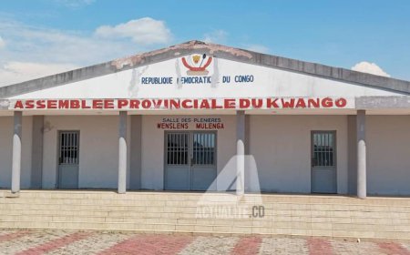 Kwango : visé par une pétition, le président de l’Assemblée provinciale démissionne