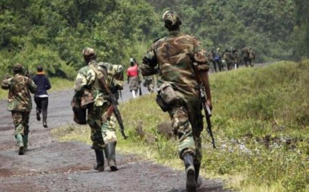 Accord de Washington : le Baromètre des Accords de Paix en Afrique redoute que le retard dans la mise en œuvre des clauses de neutralisation des FDLR et la levée des mesures défensives rwandaises compromette la crédibilité du processus