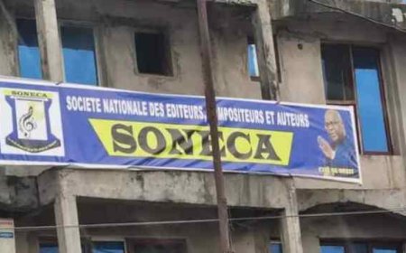 Affaire des 25 millions de la Soneca : Don Dass Malepikini rétablit les faits et exonère Nicolas Kazadi ( Tribune)