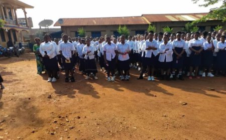 Beni : des élèves promettent de planter 5.000 arbres dans les écoles pour améliorer l'oxygène en milieu éducatif