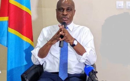 Accord-cadre de Doha : « Aucune pression ne doit primer sur la sécurité du Congo » (Fayulu)