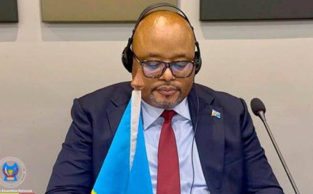 Est de la RDC : « Le M23 est utilisé comme un véritable cheval de Troie », a déclaré Aimé Boji