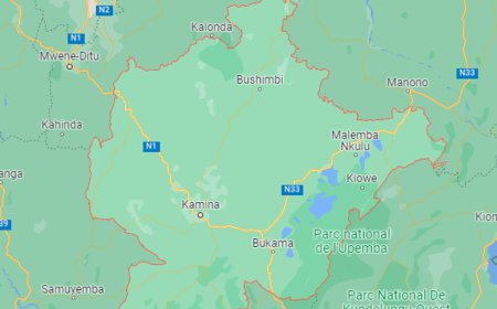 Haut-Lomami : Jean Tayari élu président de l’Assemblée provinciale, Idriss Nsenga questeur