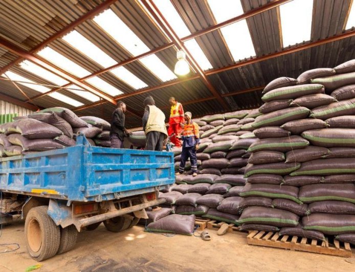 Campagne agricole 2024-2025 : Plus de 8.000 tonnes de maïs produites par les planteurs encadrés par TFM dans sa concession