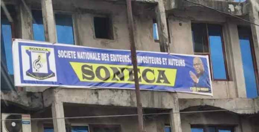 Affaire des 25 millions de la Soneca : Don Dass Malepikini rétablit les faits et exonère Nicolas Kazadi ( Tribune)