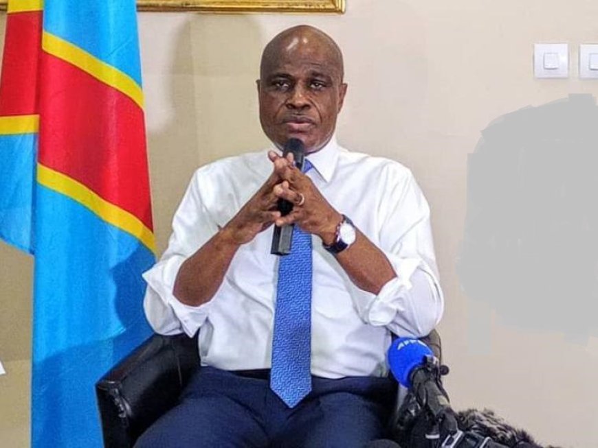 Accord-cadre de Doha : « Aucune pression ne doit primer sur la sécurité du Congo » (Fayulu)
