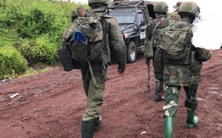 Masisi: les rebelles de l'AFC/M23 se renforcent à Lukweti suite à l'avancée de l'armée appuyée par les wazalendovers Nyabiondo