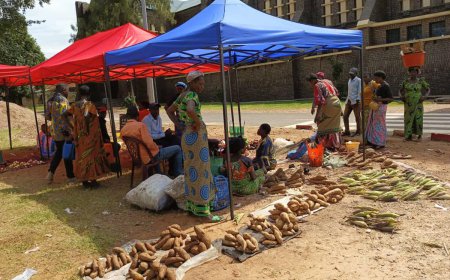 L'insécurité alimentaire frappe 60% des ménages du Kasaï-Oriental