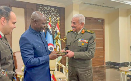 L’Égypte réaffirme sa disponibilité à appuyer la modernisation des FARDC