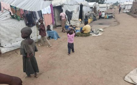 Combats FARDC-M23 : 100 000 enfants en détresse au Sud-Kivu (UNICEF)