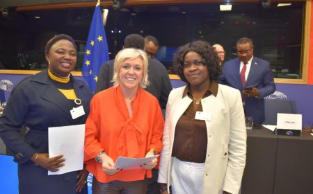 Offensives de l’AFC/M23 au Sud-Kivu : à Strasbourg, des Congolais de la diaspora pressent les eurodéputés de renforcer le contrôle de l’application des sanctions contre Kigali et d’envisager de nouvelles mesures correctives