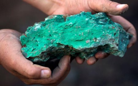 Les exportations de cobalt reprennent après dix mois de suspension