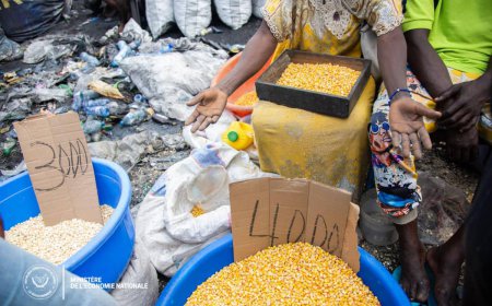 Le prix du maïs a doublé sur le marché de Kananga