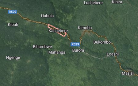 Masisi : quatre blessés et plusieurs biens pillés lors d'un nouveau braquage à Kafunsi entre Kaandja et Kashebere, zone sous contrôle des rebelles de l'AFC/M23