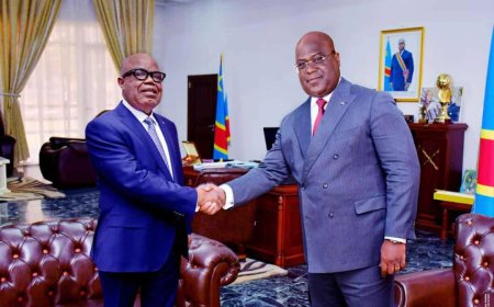 Nouvel An 2026 : Le parti APP appelle à la mobilisation autour de la vision de Félix Tshisekedi