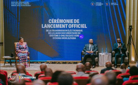 Commerce extérieur : la RDC adopte la transmission numérique des documents d’import-export