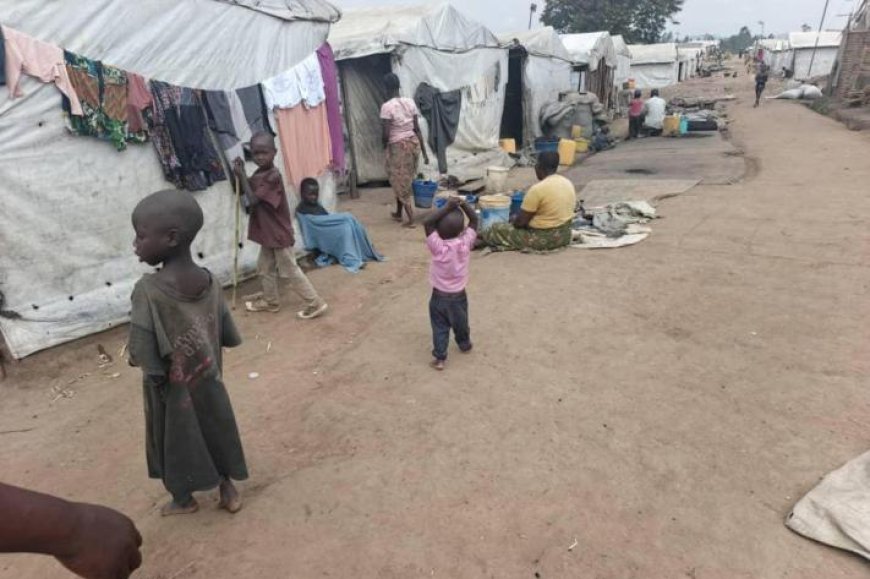 Combats FARDC-M23 : 100 000 enfants en détresse au Sud-Kivu (UNICEF)