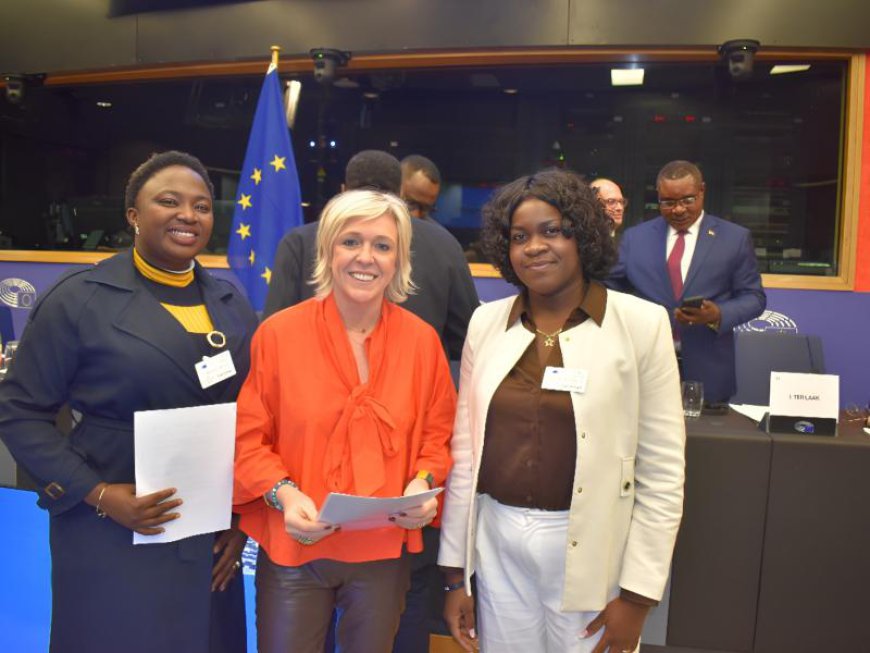 Offensives de l’AFC/M23 au Sud-Kivu : à Strasbourg, des Congolais de la diaspora pressent les eurodéputés de renforcer le contrôle de l’application des sanctions contre Kigali et d’envisager de nouvelles mesures correctives