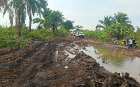 Patrick Lupya appelle à la réhabilitation des routes de Kailo au Maniema