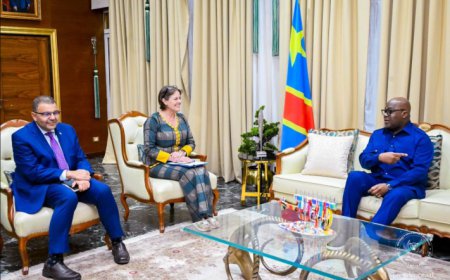 Est de la RDC : Félix Tshisekedi et la cheffe de la Monusco s’accordent sur la mise en œuvre de la résolution 2773