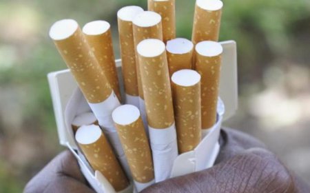 Santé publique : l’OMS lance le programme « 3 d’ici 35 » pour freiner la consommation de tabac, d’alcool et de boissons sucrées