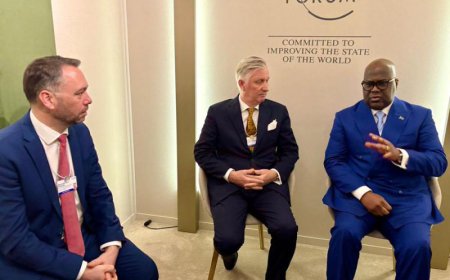 Le Roi Philippe encourage Félix Tshisekedi à organiser un dialogue national inclusif et promet de mobiliser les pays européens sur la situation humanitaire en RDC