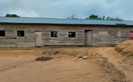 Ituri : des activités scolaires à l'arrêt depuis 7 ans à Mantumbi suite à la menace ADF