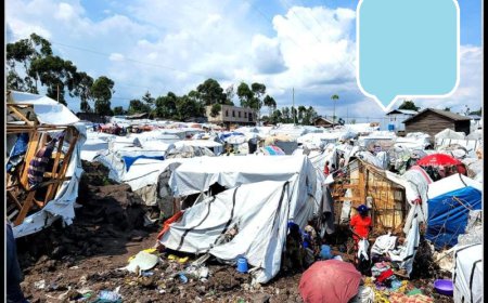 RDC : l’UE alloue 2 millions d'euros d’aide pour répondre aux besoins humanitaires croissants dans le Sud-Kivu