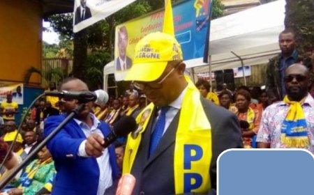 RDC : Le PPRD–Diaspora exige la dissolution du Conseil national de cyberdéfense