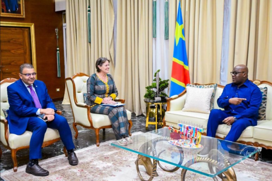 Est de la RDC : Félix Tshisekedi et la cheffe de la Monusco s’accordent sur la mise en œuvre de la résolution 2773