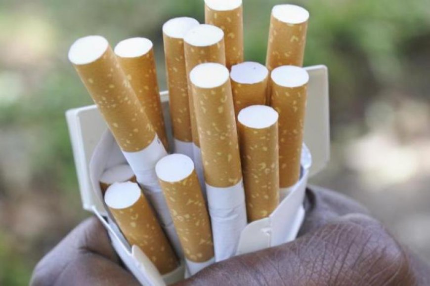 Santé publique : l’OMS lance le programme « 3 d’ici 35 » pour freiner la consommation de tabac, d’alcool et de boissons sucrées