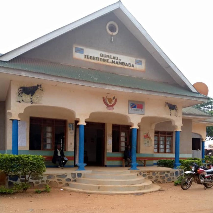 Au moins 14 groupes armés actifs dans la chefferie de Babila à Mambasa(ONG)