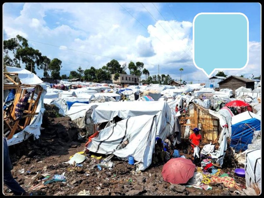 RDC : l’UE alloue 2 millions d'euros d’aide pour répondre aux besoins humanitaires croissants dans le Sud-Kivu