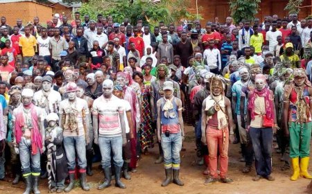 Au moins 50 miliciens Chini ya Tuna adhèrent au P-DDRCS à Balingani