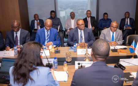 RDC : Doudou Fwamba et le FMI lancent les travaux préparatoires de la troisième revue du programme FEC