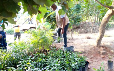 Le gouvernement sensibilise les agriculteurs de Kindu à s'organiser en coopératives